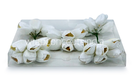 White Tulip Bud on Stick