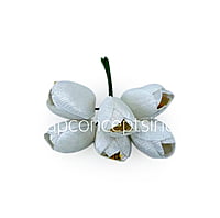 White Tulip Bud on Stick