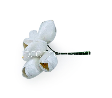 White Tulip Bud on Stick