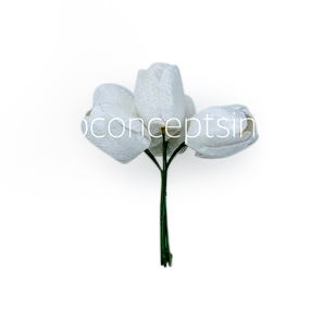 White Tulip Bud on Stick