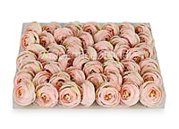 Small Peony-Baby Pink