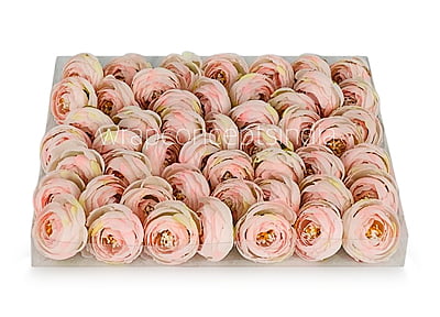 Small Peony-Baby Pink