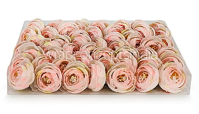 Small Peony-Baby Pink