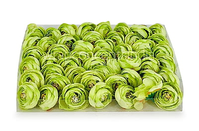 Small Peony-Lime Green