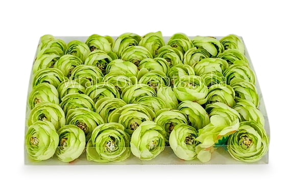 Small Peony-Lime Green