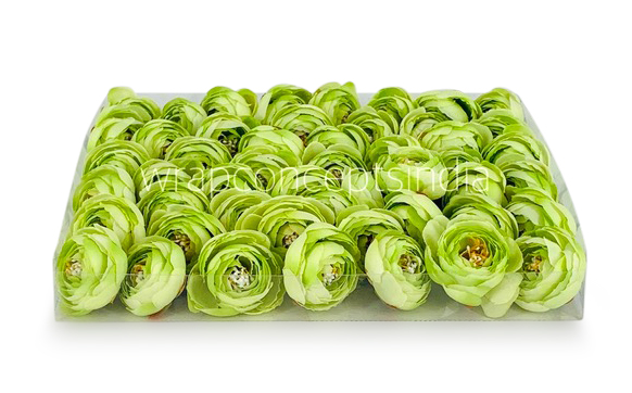 Small Peony-Lime Green