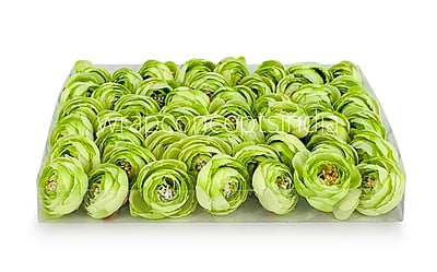 Small Peony-Lime Green