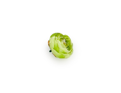 Small Peony-Lime Green