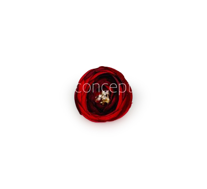 Small Peony-Red