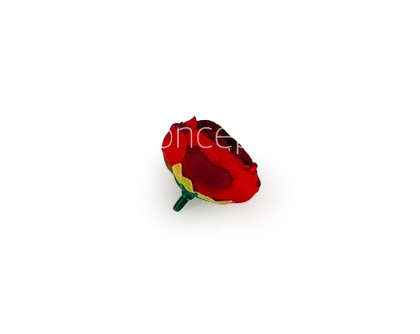 Small Peony-Red