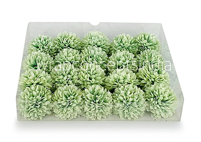 Carnation - Pistachio Green