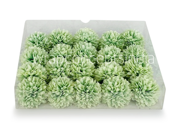 Carnation - Pistachio Green