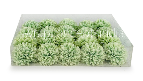 Carnation - Pistachio Green
