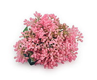 Baby Breath Floret Bunch -Mutlicolor