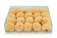 Carnation - Lemon Yellow