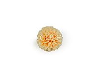 Carnation - Lemon Yellow