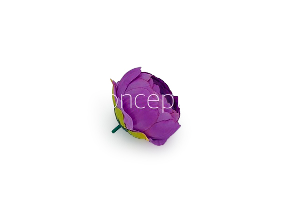 Peony - Lilac with hints of Violet