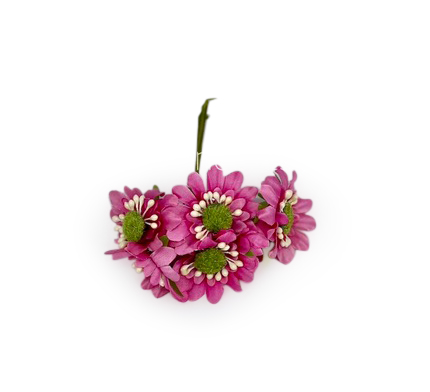 Sunflowers on stick - Fuchsia Pink