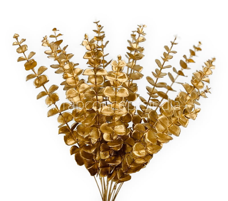 Gold Eucalyptus Leaves Bunch