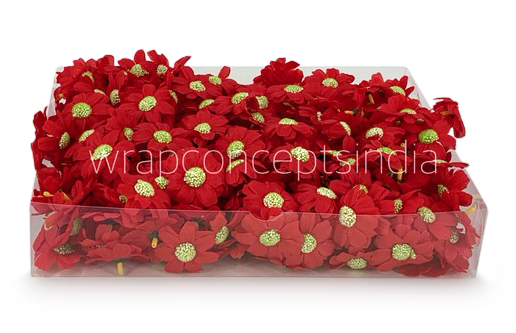 Red Cosmos Flower