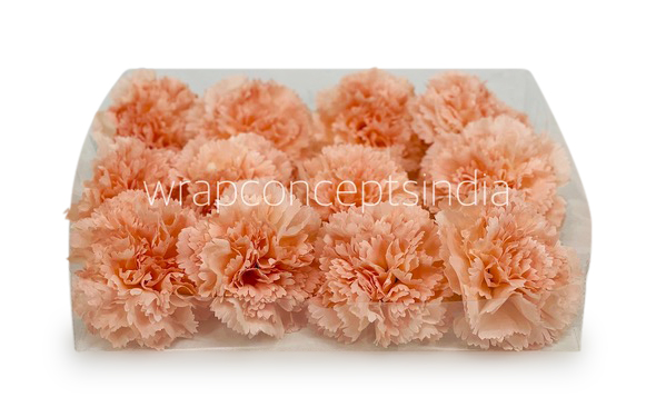 Melon Carnation