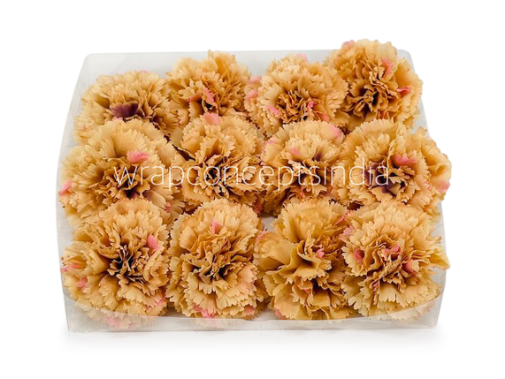 Ginger Carnation