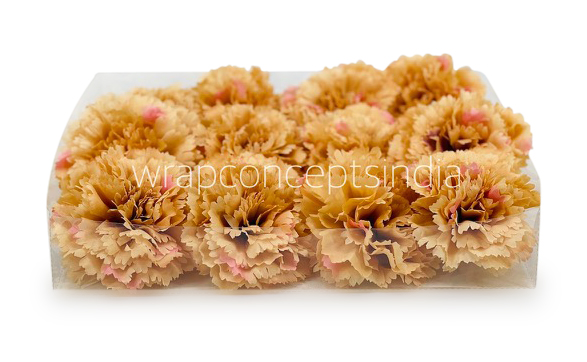Ginger Carnation