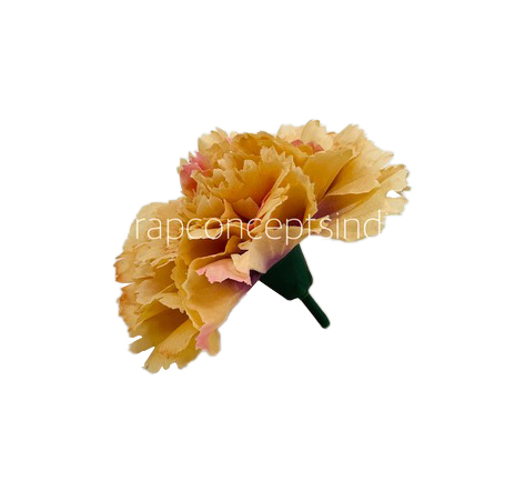 Ginger Carnation