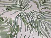 Monstera Breeze