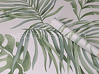 Monstera Breeze