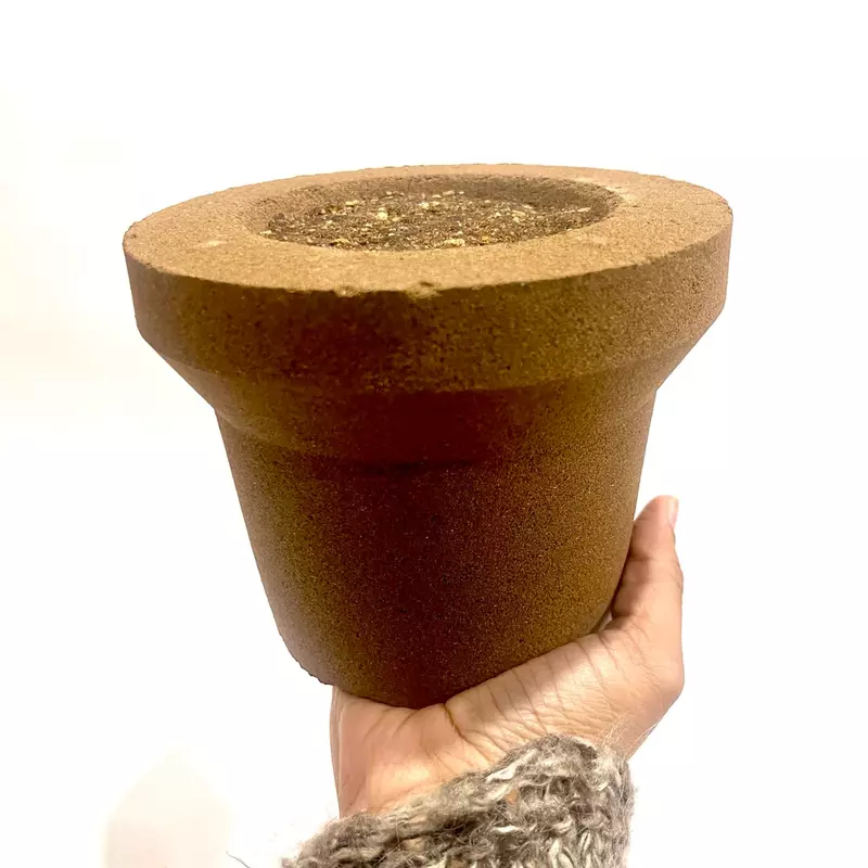 Raviikara CHANDAN Cup Jumbo