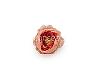 Flamingo with hints of Pink Peonies