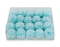 Carnation - Tiffany Blue