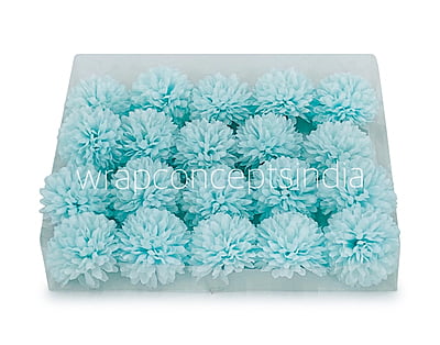 Carnation - Tiffany Blue