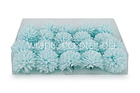 Carnation - Tiffany Blue