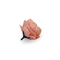 Flamingo with hints of Pink Peonies