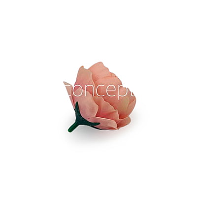 Flamingo with hints of Pink Peonies