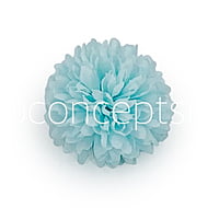 Carnation - Tiffany Blue