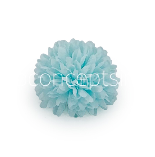 Carnation - Tiffany Blue