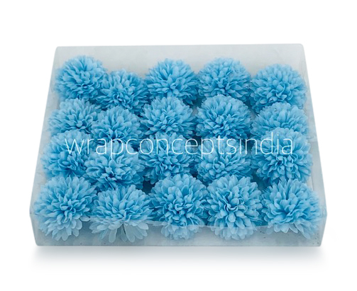 Carnation - Sky Blue