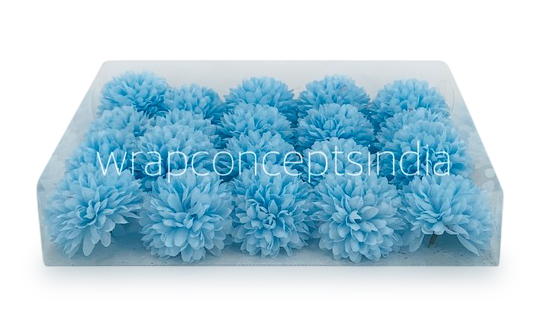 Carnation - Sky Blue