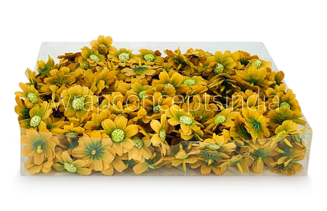 Olive Cosmos Flower