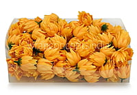 Bell Flower - Mango Yellow