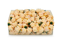 Bell Flower - Cream Yellow