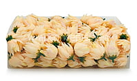 Bell Flower - Cream Yellow
