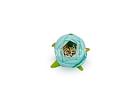 Peony Medium-Sea Green