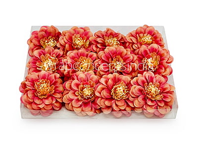 Dahlia - Blush With Hints of Pink