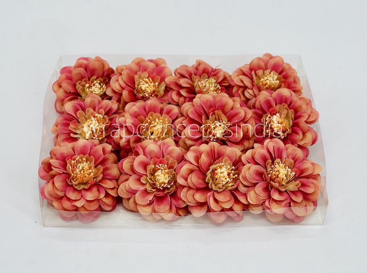 Dahlia-Blush With Hints of Pink