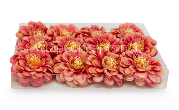 Dahlia - Blush With Hints of Pink