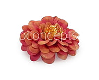 Dahlia - Blush With Hints of Pink